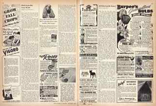 Better Homes & Gardens September 1942 Magazine Article: Page 96
