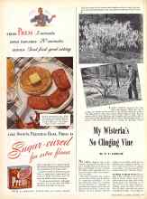 Better Homes & Gardens October 1942 Magazine Article: My Wisteria's No Clinging Vine