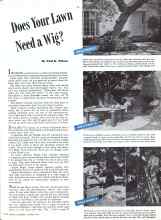 Better Homes & Gardens October 1942 Magazine Article: Does Your Lawn Need a Wig?