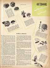 Better Homes & Gardens October 1942 Magazine Article: OUTDOOR Gardening Guide
