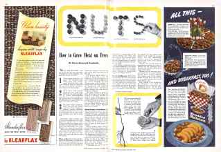 Better Homes & Gardens October 1942 Magazine Article: How to Grow Meat on Trees