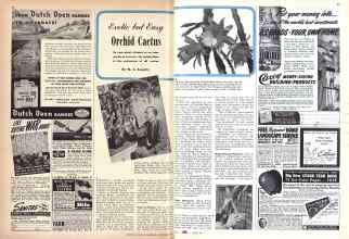 Better Homes & Gardens October 1942 Magazine Article: Exotic but Easy Orchid Cactus