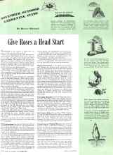 Better Homes & Gardens November 1942 Magazine Article: Give Roses a Head Start