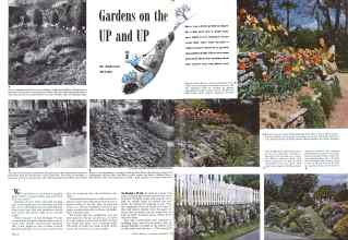 Better Homes & Gardens November 1942 Magazine Article: Gardens on the UP and UP