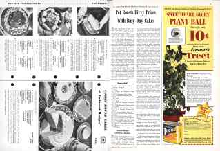 Better Homes & Gardens November 1942 Magazine Article: Page 44