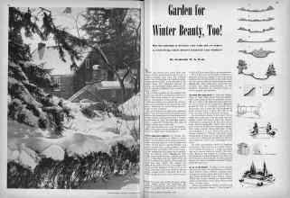 Better Homes & Gardens December 1942 Magazine Article: Garden for Winter Beauty, Too!