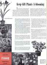 Better Homes & Gardens January 1943 Magazine Article: Keep Gift Plants A-blooming