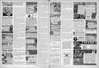 Better Homes & Gardens January 1943 Magazine Article: Page 68