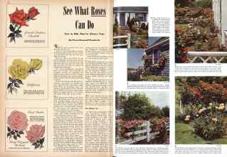 Better Homes & Gardens February 1943 Magazine Article: See What Roses Can Do