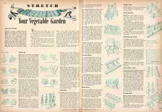 Better Homes & Gardens February 1943 Magazine Article: STRETCH Your Vegetable Garden