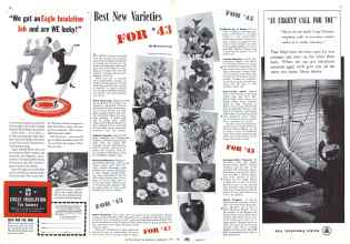 Better Homes & Gardens February 1943 Magazine Article: Best New Varieties FOR '43