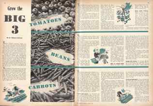 Better Homes & Gardens March 1943 Magazine Article: Grow the BIG 3