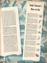 Better Homes & Gardens April 1943 Magazine Article: Food Grower's How-to-Do