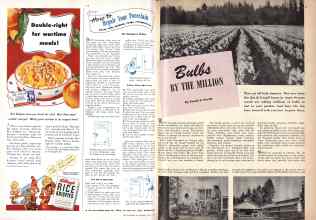 Better Homes & Gardens April 1943 Magazine Article: Page 14