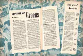 Better Homes & Gardens April 1943 Magazine Article: GROW YOUR OWN Greens