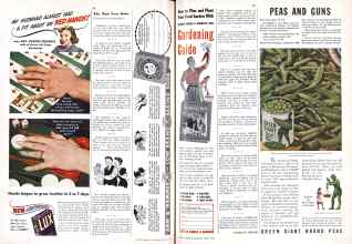 Better Homes & Gardens April 1943 Magazine Article: Page 64
