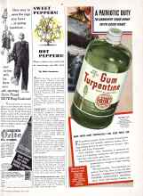 Better Homes & Gardens May 1943 Magazine Article: SWEET PEPPERS! HOT PEPPERS!