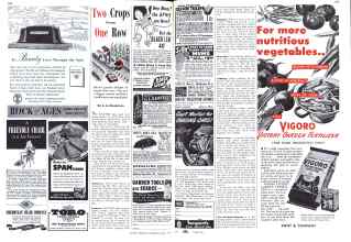 Better Homes & Gardens May 1943 Magazine Article: Two Crops From One Row