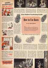 Better Homes & Gardens June 1943 Magazine Article: How to Use Roses