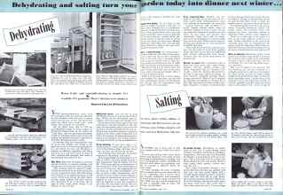Better Homes & Gardens June 1943 Magazine Article: Dehydrating and salting turn your garden today into dinner next winter . . .