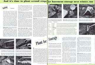 Better Homes & Gardens June 1943 Magazine Article: Plant for Storage