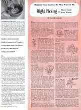 Better Homes & Gardens July 1943 Magazine Article: Right Picking-More Food Less Waste