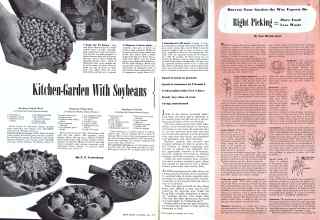 Better Homes & Gardens July 1943 Magazine Article: Page 20