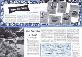 Better Homes & Gardens July 1943 Magazine Article: Want Succession of Bloom?