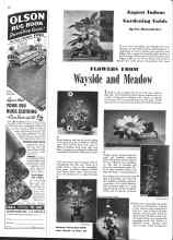 Better Homes & Gardens August 1943 Magazine Article: FLOWERS FROM Wayside and Meadow
