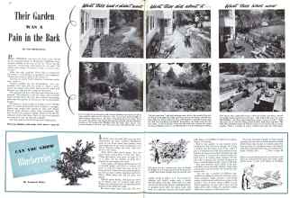 Better Homes & Gardens August 1943 Magazine Article: Their Garden WAS A Pain in the Back