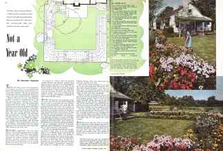 Better Homes & Gardens August 1943 Magazine Article: Not a Year Old
