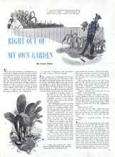 Better Homes & Gardens September 1943 Magazine Article: RIGHT OUT OF MY OWN GARDEN