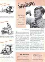 Better Homes & Gardens September 1943 Magazine Article: Strawberries