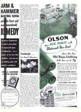 Better Homes & Gardens October 1943 Magazine Article: Sternbergia ... the Quick Bloomer