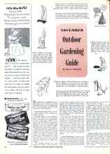 Better Homes & Gardens November 1943 Magazine Article: NOVEMBER Outdoor Gardening Guide