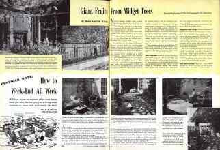 Better Homes & Gardens November 1943 Magazine Article: POSTWAR NOTE: How to Week-End All Week