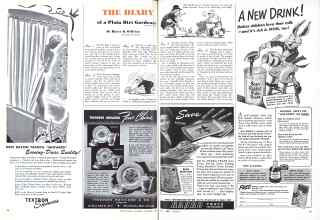 Better Homes & Gardens November 1943 Magazine Article: THE DIARY