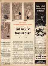 Better Homes & Gardens December 1943 Magazine Article: DECEMBER OUTDOOR GARDENING GUIDE