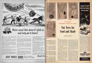 Better Homes & Gardens December 1943 Magazine Article: Page 80