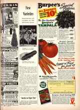 Better Homes & Gardens January 1944 Magazine Article: New Varieties