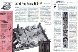 Better Homes & Gardens January 1944 Magazine Article: Lots of Fruit From a Little Lot