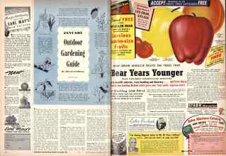 Better Homes & Gardens January 1944 Magazine Article: Page 64