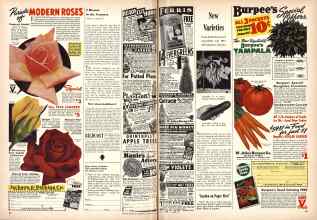 Better Homes & Gardens January 1944 Magazine Article: Page 68