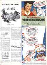 Better Homes & Gardens February 1944 Magazine Article: BEST WAYS TO GROW ONIONS