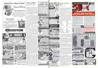 Better Homes & Gardens February 1944 Magazine Article: Page 96