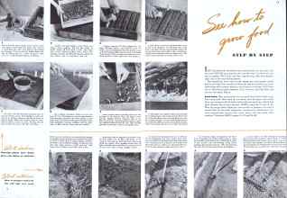 Better Homes & Gardens March 1944 Magazine Article: See how to grow ford