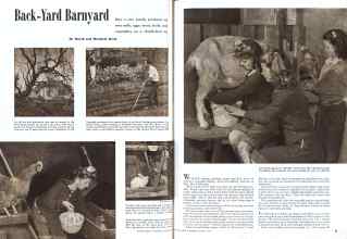 Better Homes & Gardens March 1944 Magazine Article: Back-Yard Barnyard