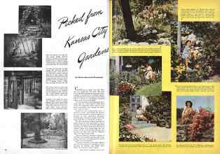 Better Homes & Gardens March 1944 Magazine Article: Picked from Kansas City Gardens