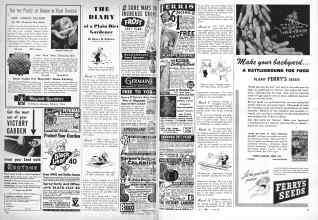 Better Homes & Gardens March 1944 Magazine Article: THE DIARY of a Plain Dirt Gardener