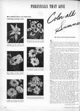 Better Homes & Gardens April 1944 Magazine Article: PERENNIALS THAT GIVE Color all Summer